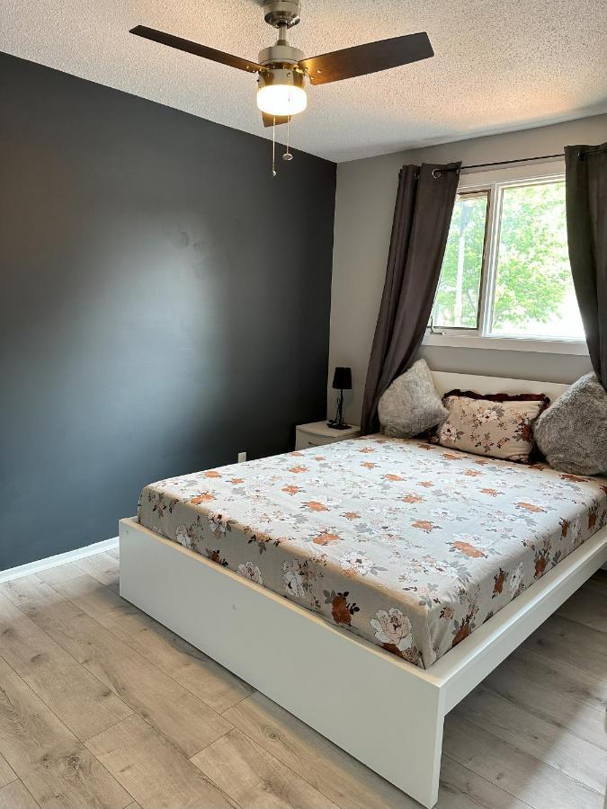 Castlerooms Homestay Оттава Экстерьер фото
